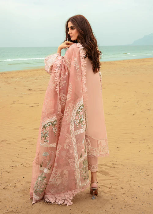 Winds of Eden - Rose -  Crmson by Saira shakira  C-200 EID SPECIAL SALE